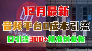 12月音频平台0成本引流策略：日增300+精准创业粉丝-小伟资源网