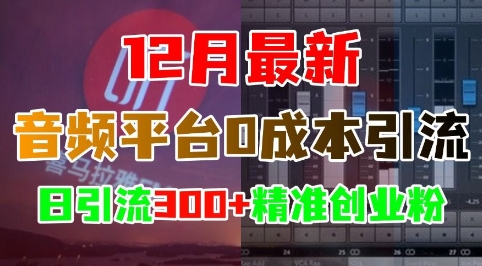 12月音频平台0成本引流策略：日增300+精准创业粉丝-小伟资源网