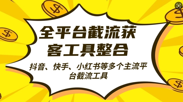 全自动引流工具揭秘：日引2000+精准客户，全平台截流获客神器-小伟资源网