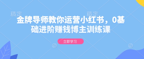 小红书运营秘籍：0基础快速成为赚钱博主的金牌导师训练课-小伟资源网