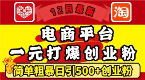 12月电商平台1元引流秘籍：日引500+精准创业粉，轻松实现月入过万【揭秘】-小伟资源网