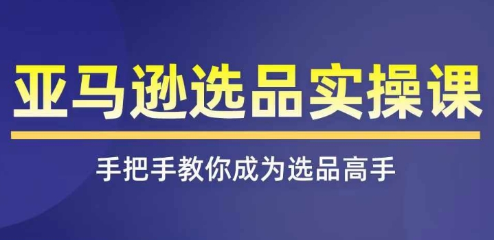亚马逊选品实操课程：全面掌握选品技巧，覆盖所有渠道-小伟资源网