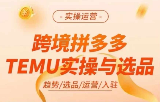 跨境拼多多TEMU选品与运营实操指南：提升跨境电商效率的关键策略-小伟资源网