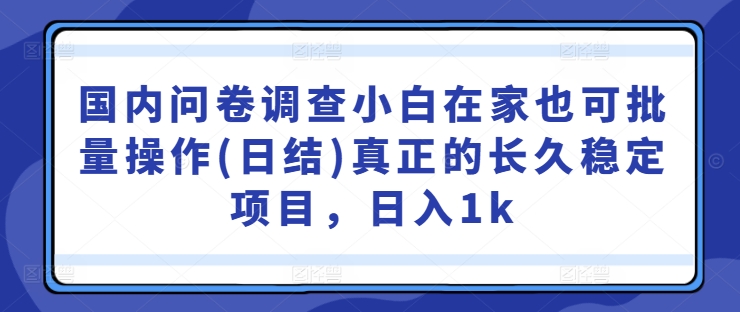 国内问卷调查项目揭秘：小白在家轻松日入1k，长久稳定操作指南-小伟资源网