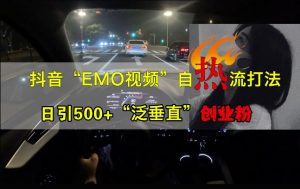抖音EMO视频自热策略:日增500+“泛垂直”创业粉丝的秘诀-小伟资源网