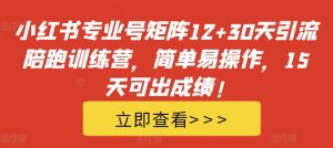 小红书专业号矩阵12+30天引流陪跑训练营,15天见效,操作简单易上手!-小伟资源网