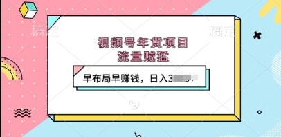 视频号年货项目揭秘：流量爆发，早布局早盈利，日收入轻松破千-小伟资源网