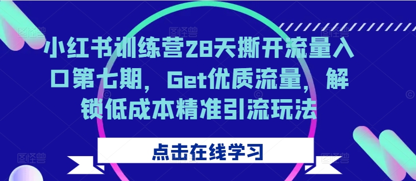 小红书28天训练营：低成本精准引流，解锁优质流量新玩法-小伟资源网
