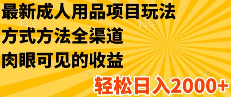 揭秘全渠道成人用品项目：轻松日入2K+的最新玩法与方法-小伟资源网