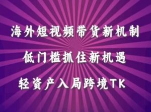 TikTok海外带货新机制：低门槛轻资产，轻松抓住跨境电商新机遇-小伟资源网