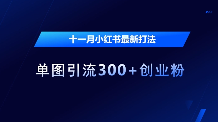 小红书11月单图引流秘籍：轻松吸引300+创业粉【实战揭秘】-小伟资源网