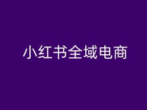 小红书电商全攻略:从入门到精通的全域运营教程-小伟资源网