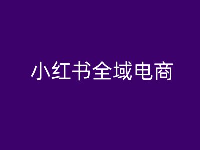 小红书电商全攻略：从入门到精通的全域运营教程-小伟资源网