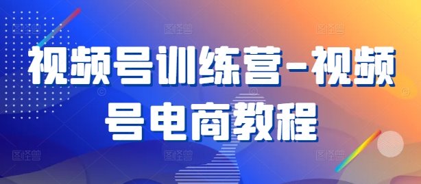 视频号电商实战训练营：从入门到精通的全方位教程-小伟资源网