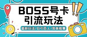 Boss直聘流量卡引流技巧揭秘：日增200+创业粉的变现策略-小伟资源网