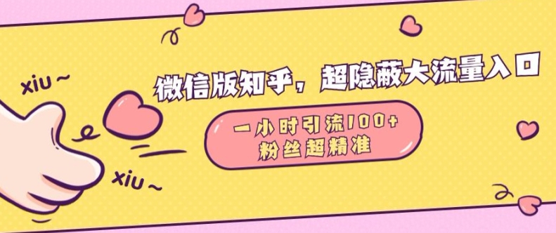 揭秘微信版知乎：1小时引流100人，粉丝质量超高的隐蔽流量入口-小伟资源网