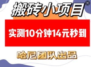 实测10分钟赚14元！搬砖小项目每日稳定收入，轻松多张收益（附必看稳定技巧）-小伟资源网