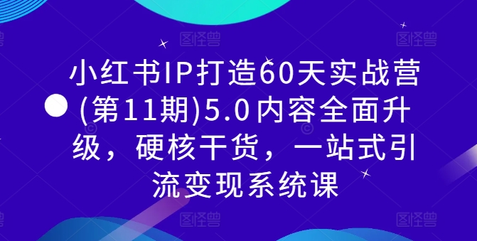 小红书IP打造60天实战营第11期：5.0升级版，硬核干货助力引流变现-小伟资源网