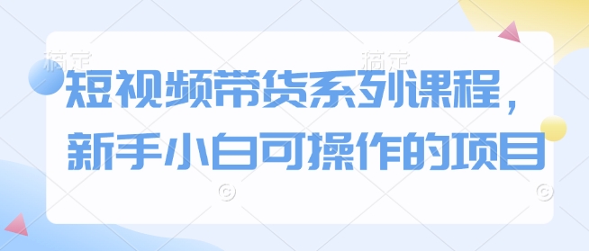 短视频带货新手入门：小白也能轻松上手的系列课程-小伟资源网