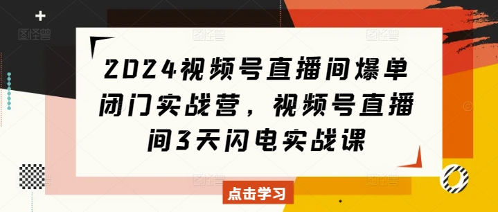 2024视频号直播间爆单实战营：3天闪电课程助你快速掌握直播技巧-小伟资源网