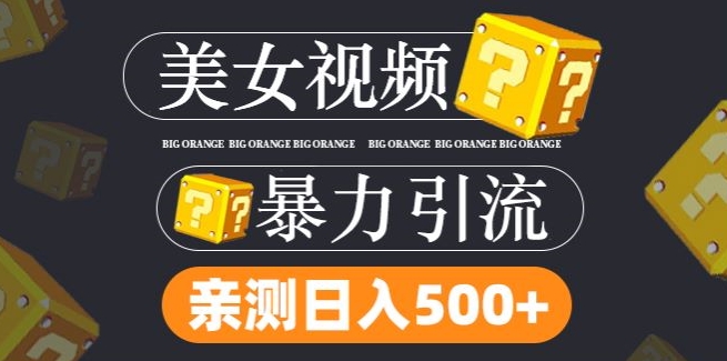揭秘：搬运TK美女视频全网分发，日引300+粉丝，轻松变现无流量限制-小伟资源网