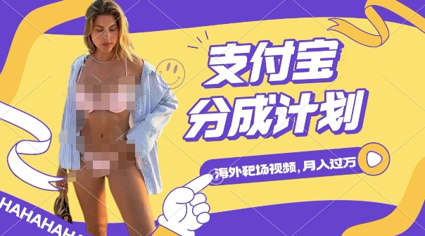 揭秘：如何通过海外靶场射击视频赚取支付宝分成，轻松实现月入过万-小伟资源网