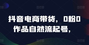 抖音电商0粉起号秘籍:20万热销课程经验分享,自然流量引爆销量-小伟资源网