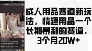 揭秘成人用品赛道：情趣用品暴利新玩法，3个月收益20个-小伟资源网