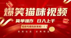 揭秘视频号赚钱新策略：爆笑猫咪视频轻松日入过千-小伟资源网