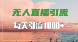 全平台无人直播引流秘籍:抖音快手视频号通用,轻松吸引1000+高质量创业粉-小伟资源网