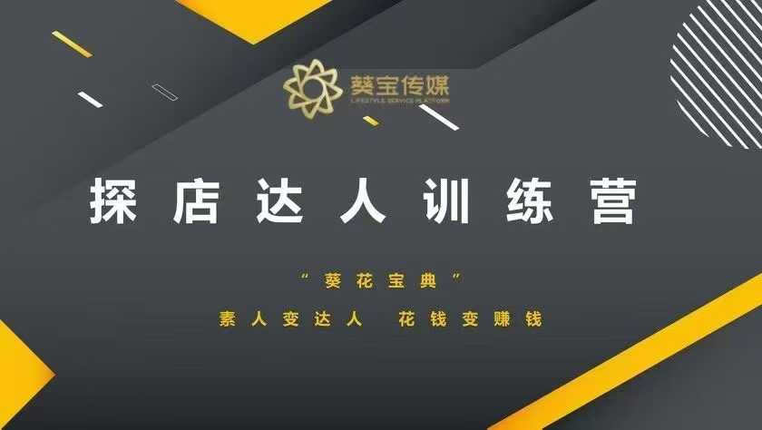 素人变探店达人：从花钱到赚钱的实战训练营-小伟资源网
