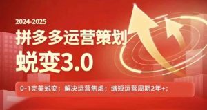 2024-2025拼多多运营3.0策略：从0到1的完美蜕变，彻底解决信息焦虑-小伟资源网