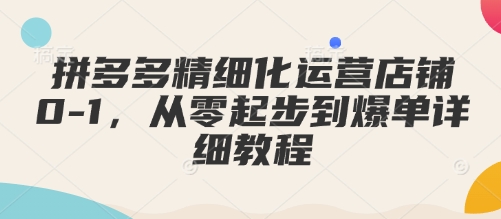 拼多多店铺从零到爆单：精细化运营全攻略-小伟资源网