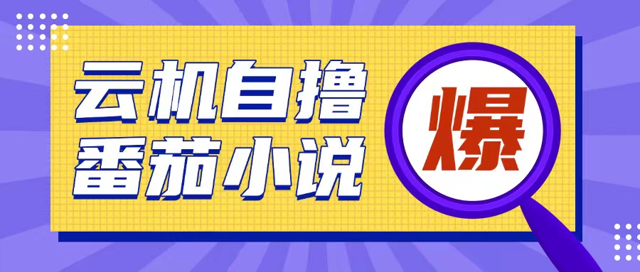 揭秘云手机自撸小说玩法：10元成本轻松赚取200+收益，操作简单易上手-小伟资源网