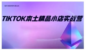 TikTok本土精品小店出海实战营：从入门到高阶，全面掌握0-1运营技巧-小伟资源网