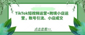 TikTok短视频与跨境小店运营全攻略:账号引流技巧与小店成交策略-小伟资源网