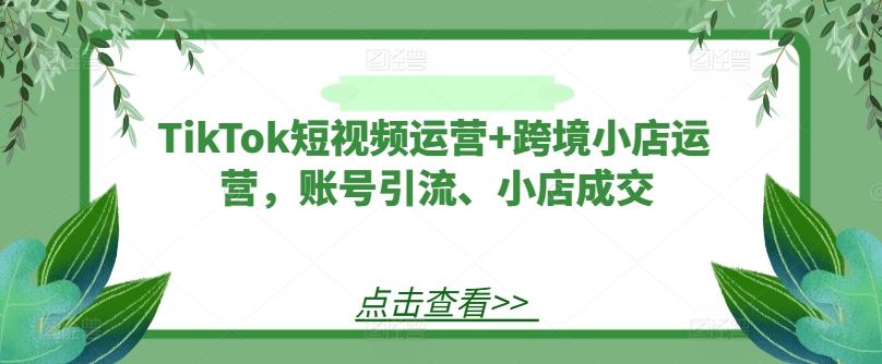 TikTok短视频与跨境小店运营全攻略：账号引流技巧与小店成交策略-小伟资源网