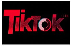 TikTok广告投放全攻略:从整体策略到测试计划搭建,助你精准投流-小伟资源网
