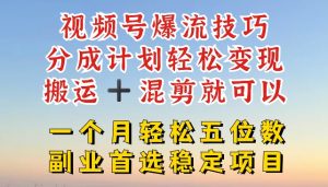 视频号爆流变现秘籍:搬运混剪轻松月入五位数,稳定项目揭秘-小伟资源网
