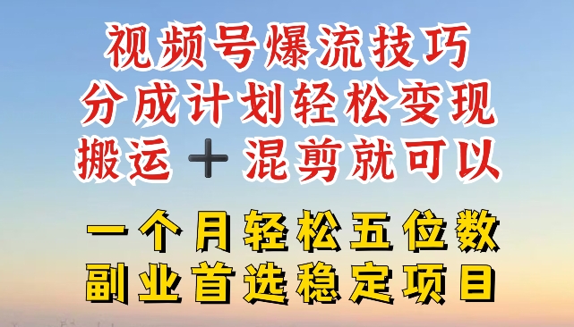 视频号爆流变现秘籍：搬运混剪轻松月入五位数，稳定项目揭秘-小伟资源网