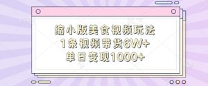 “1条视频带货6W+，单日变现1k！缩小版美食视频玩法揭秘”-小伟资源网