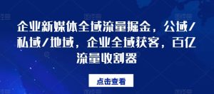 企业全域流量掘金:公域、私域、地域三合一,打造百亿流量获客神器-小伟资源网