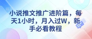 小说推文推广进阶教程：每天1小时，新手月入过万秘籍-小伟资源网