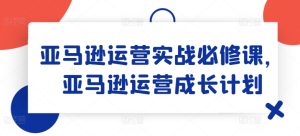亚马逊运营实战指南:从入门到精通的成长计划-小伟资源网