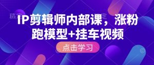 IP剪辑师内部课程：涨粉技巧与挂车视频制作全攻略-小伟资源网