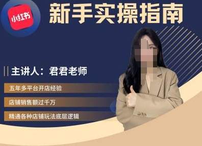 小红书电商新手实操指南：从入门到精通，君君带你玩转电商运营-小伟资源网