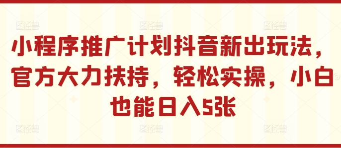 抖音小程序推广新玩法：官方扶持，实操简单，小白日入500+【揭秘】-小伟资源网