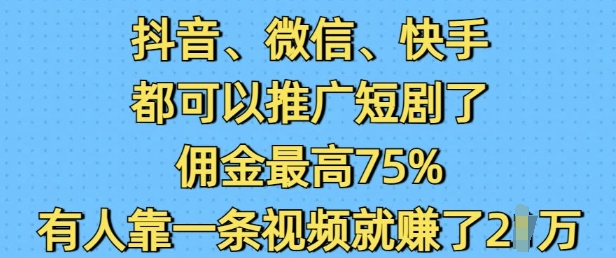抖音、微信、快手短剧推广佣金高达75%，单条视频收益2W-小伟资源网