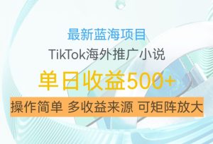 揭秘：TikTok海外推广小说赚钱新蓝海，日入500+，矩阵放大轻松实现-小伟资源网