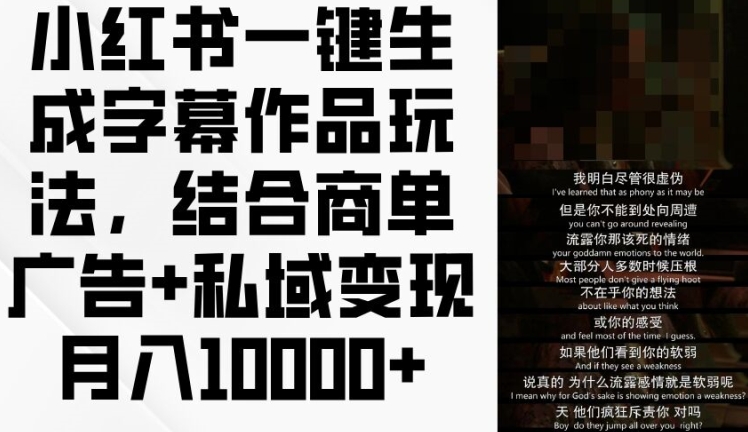 小红书字幕作品玩法揭秘：商单广告+私域变现，月入1w+-小伟资源网